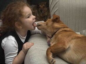 Un niño besa a un perro y se infecta de parásitos